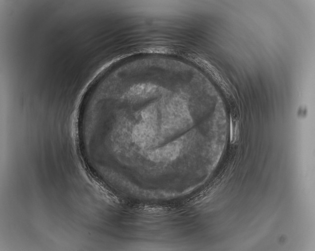 X0000097600531200803211701