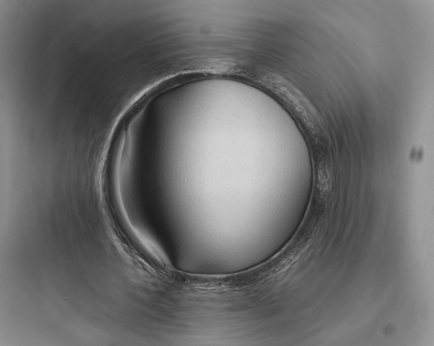 X0000097600532200803211701