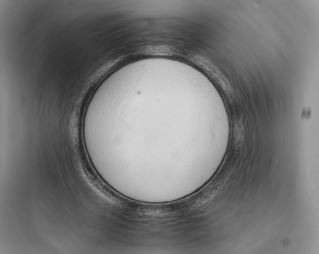 X0000097600533200803211701