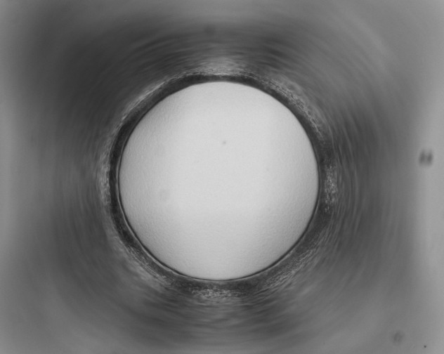 X0000097600535200803211701