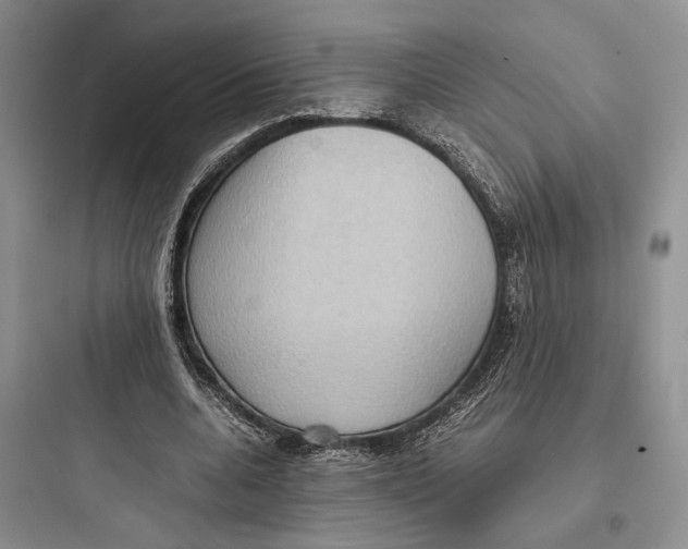 X0000097600536200803211701