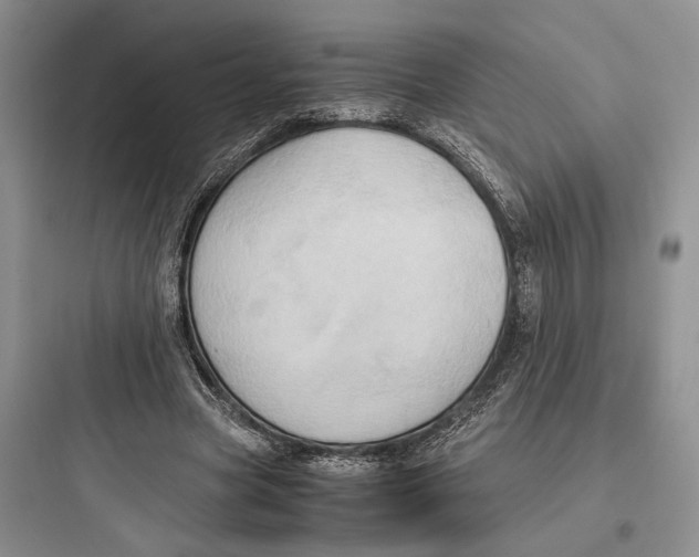X0000097600537200803211701