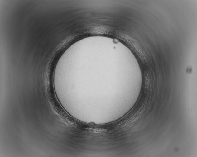X0000097600539200803211701