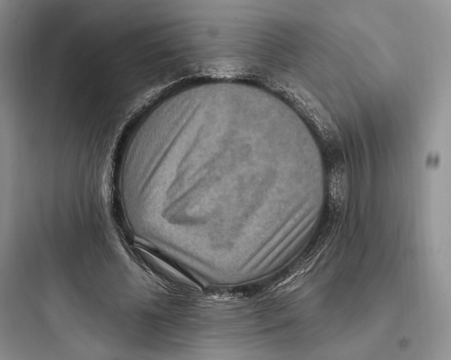 X0000097600540200803211701