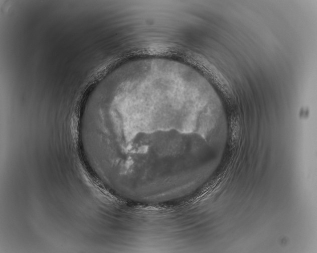 X0000097600542200803211701