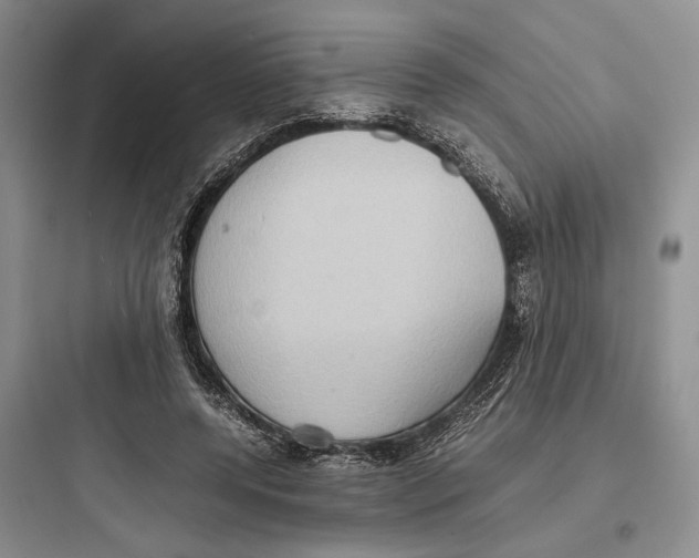 X0000097600544200803211701