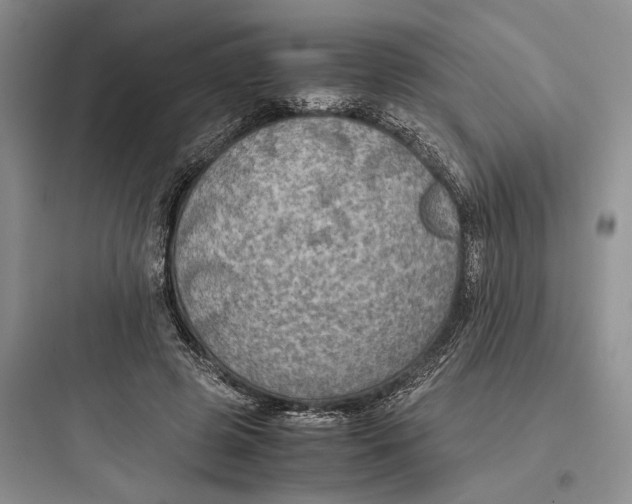 X0000097600545200803211701