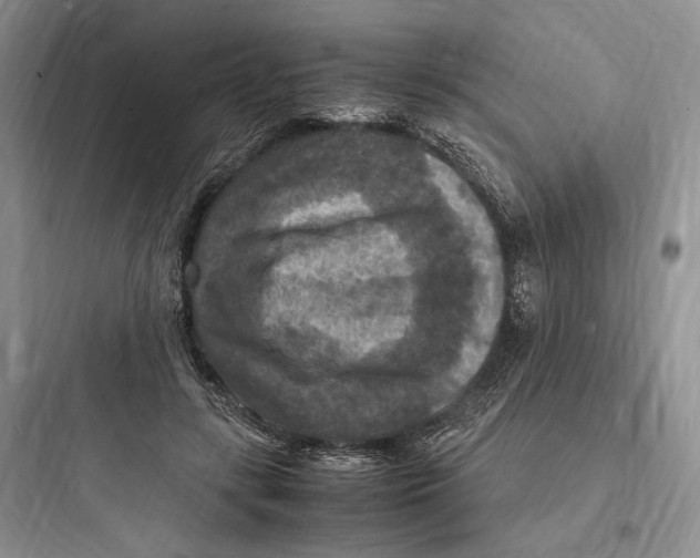 X0000097600547200803211701