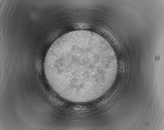 X0000097600549200803211702