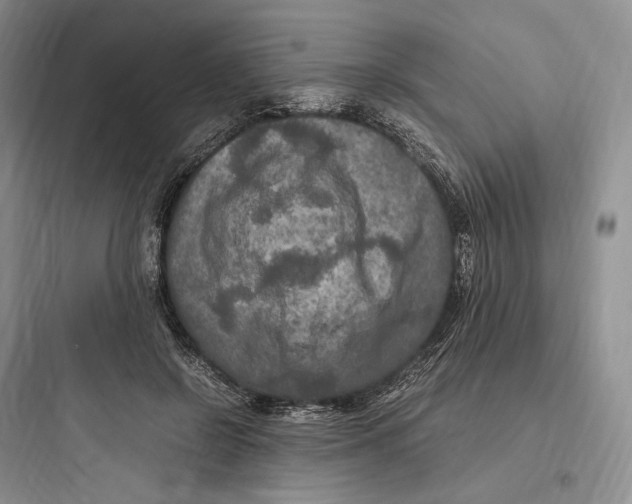 X0000097600550200803211702