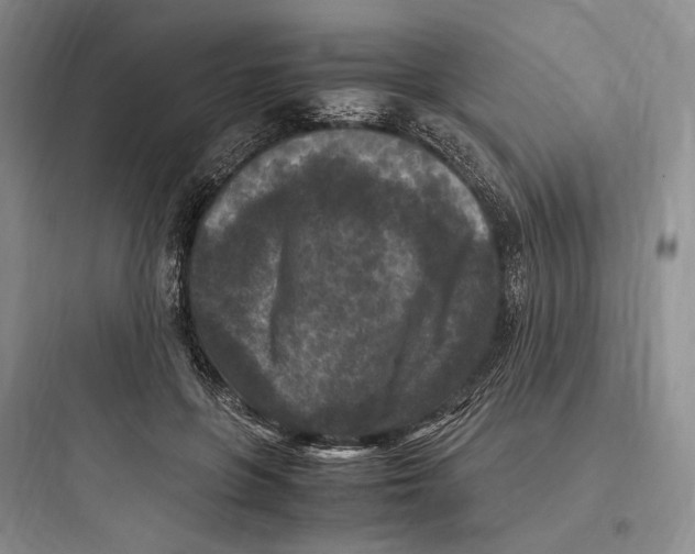 X0000097600551200803211702