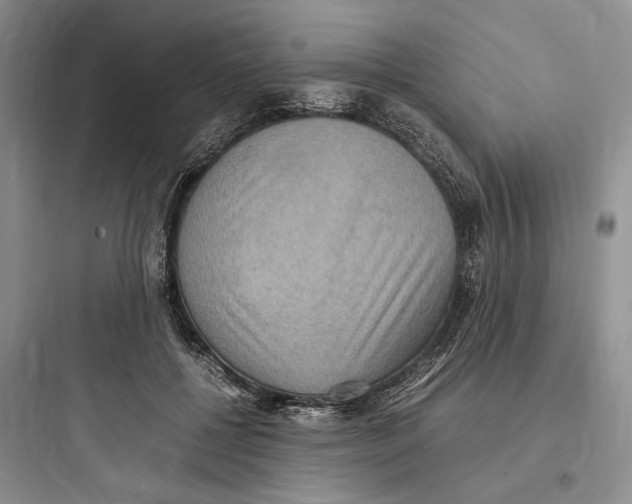 X0000097600552200803211702