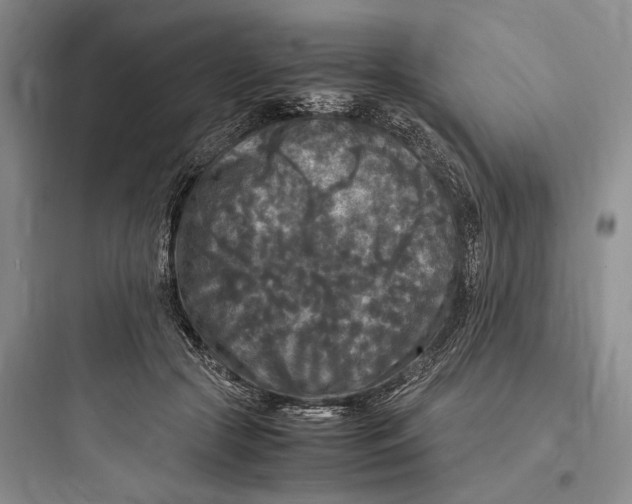 X0000097600553200803211702