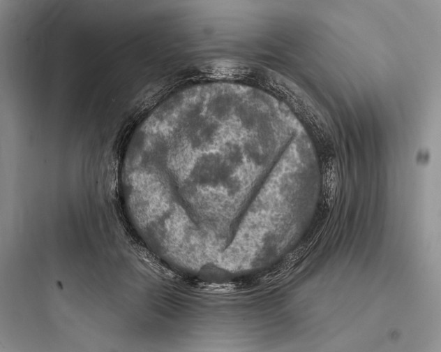X0000097600554200803211702