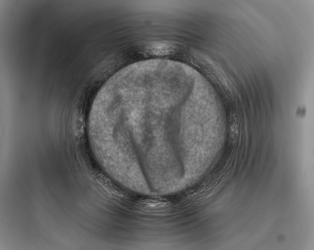X0000097600555200803211702