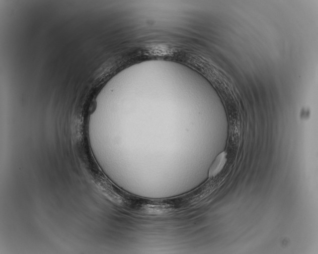 X0000097600556200803211702