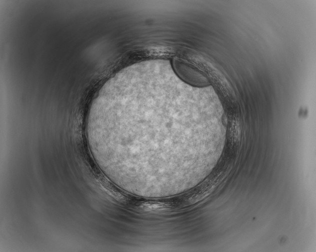 X0000097600557200803211702