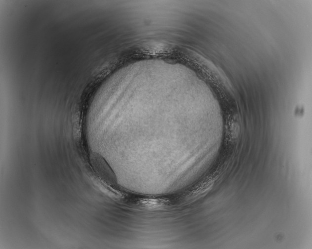 X0000097600558200803211702