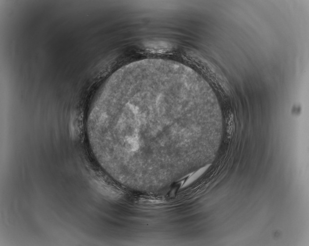 X0000097600559200803211702