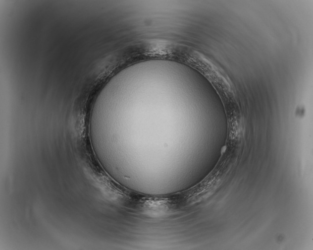 X0000097600560200803211702