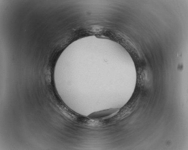 X0000097600562200803211702