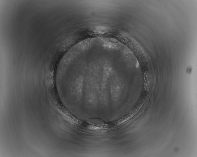 X0000097600563200803211702