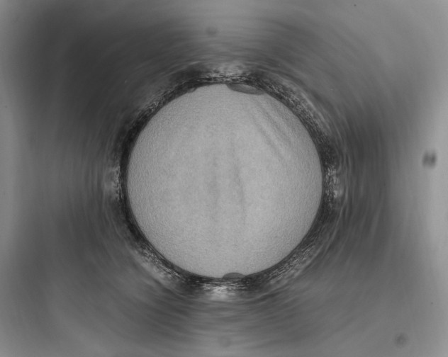X0000097600564200803211702