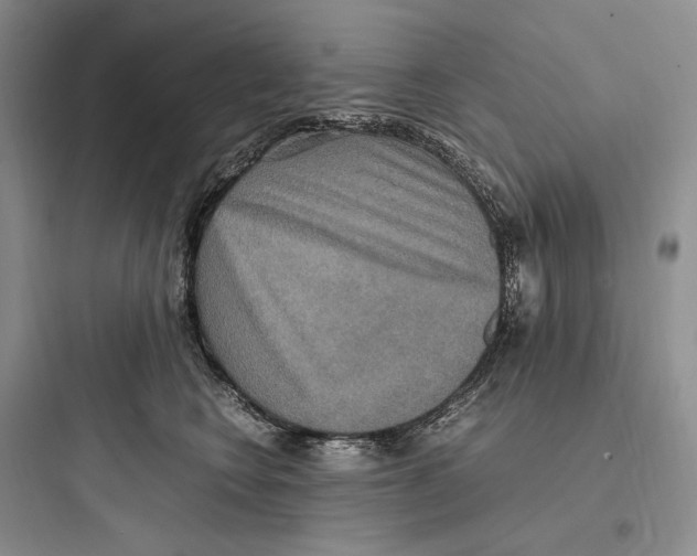X0000097600566200803211702