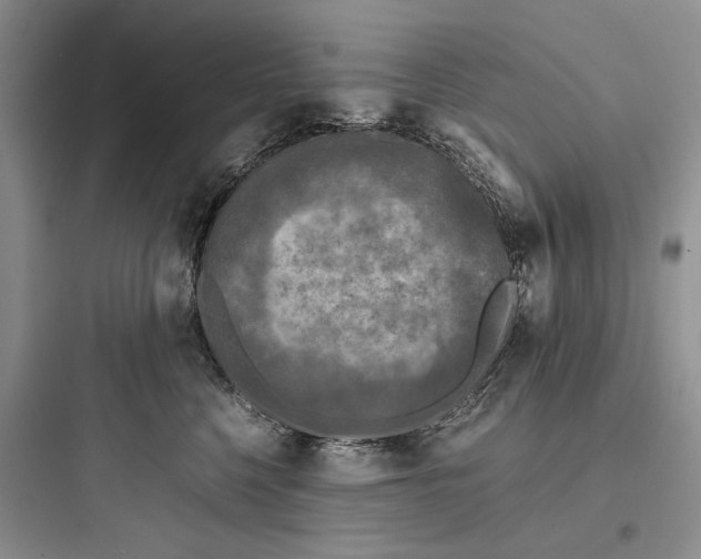 X0000097600568200803211702