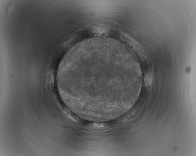 X0000097600570200803211702