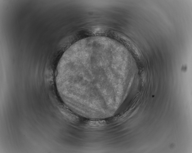 X0000097600571200803211702