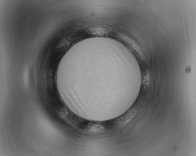 X0000097600572200803211702