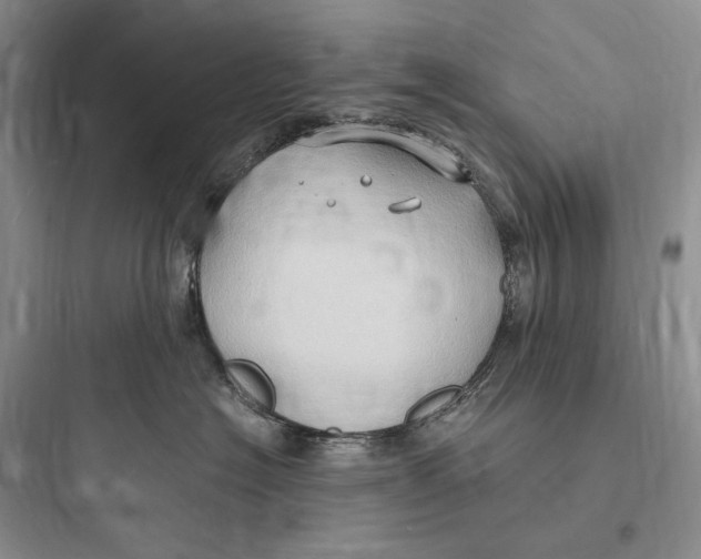 X0000097600574200803211702