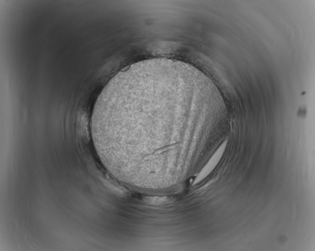 X0000097600575200803211702