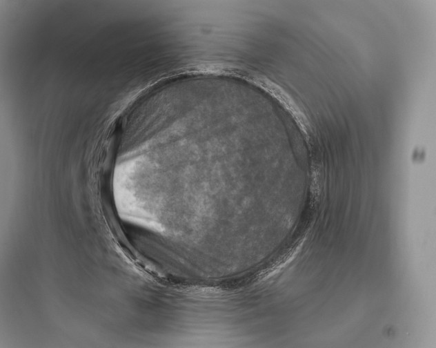 X0000097600577200803211701