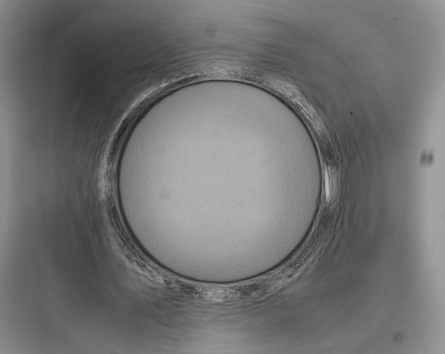X0000097600579200803211701