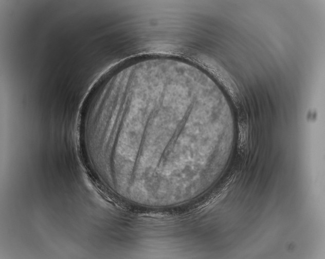 X0000097600580200803211701