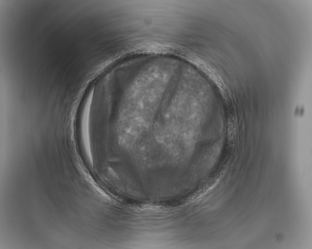 X0000097600581200803211701