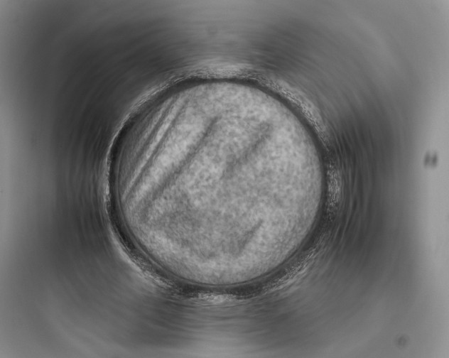 X0000097600582200803211701