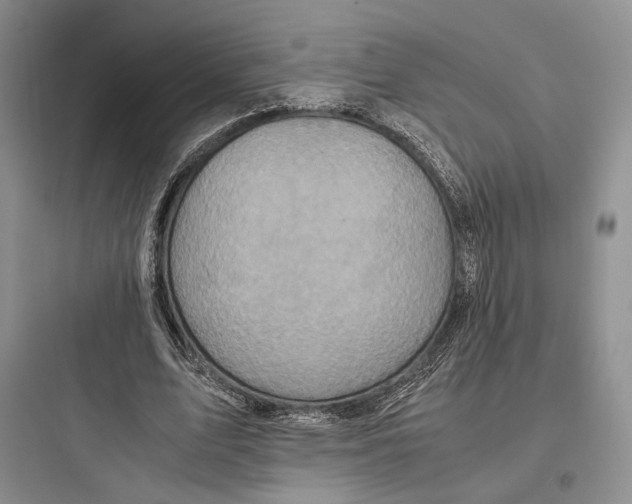 X0000097600583200803211701