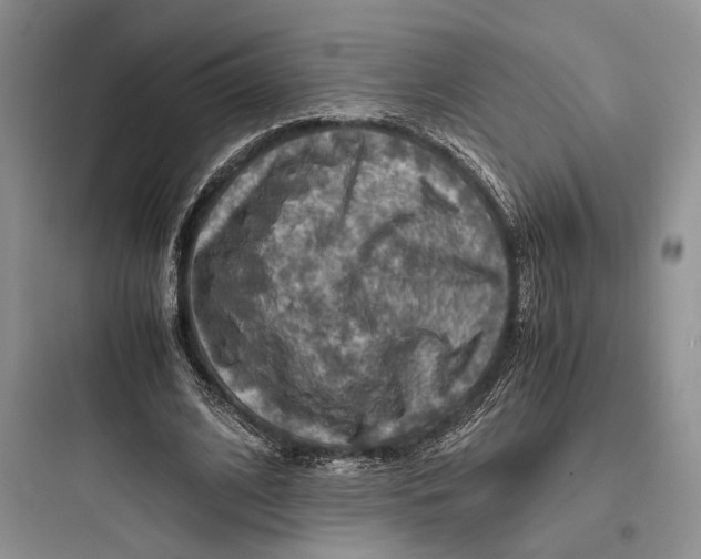 X0000097600584200803211701
