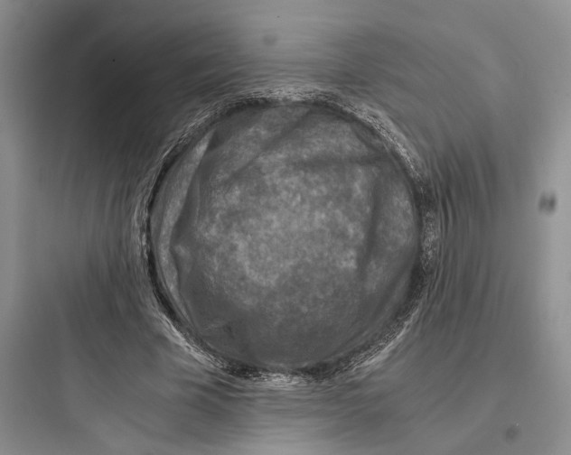 X0000097600585200803211701