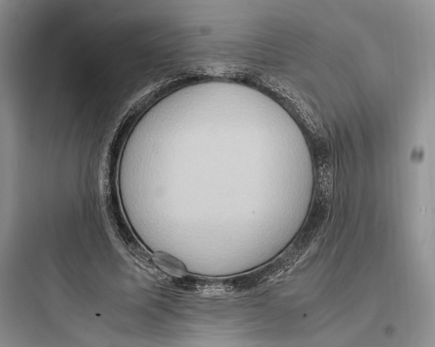 X0000097600587200803211701
