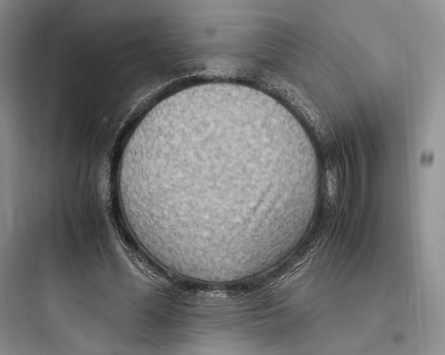X0000097600588200803211701