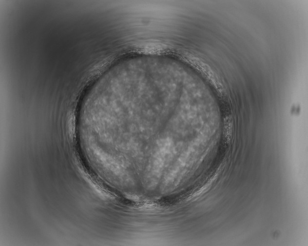 X0000097600589200803211701
