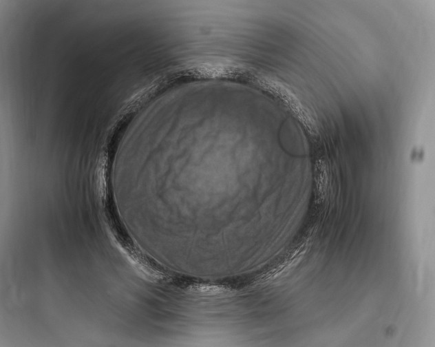 X0000097600590200803211701
