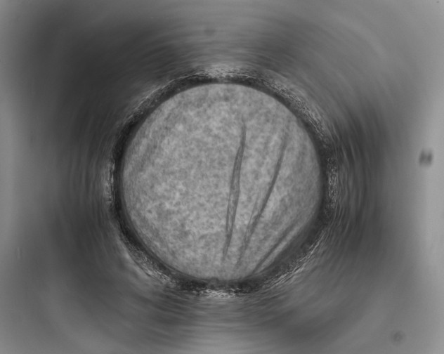 X0000097600592200803211701