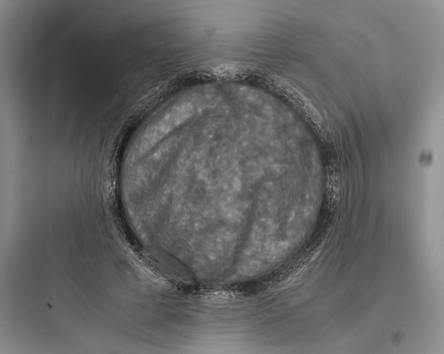 X0000097600593200803211701
