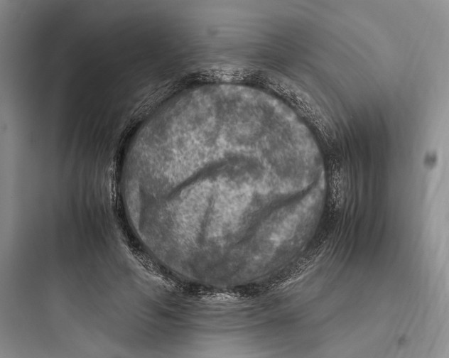 X0000097600594200803211701