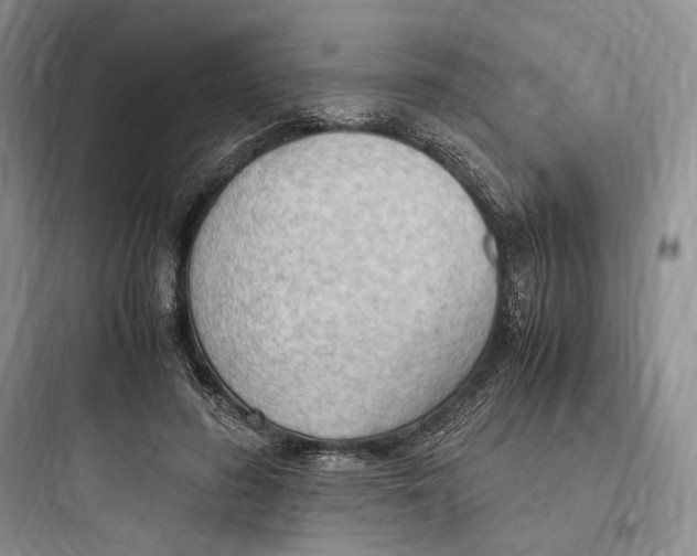 X0000097600596200803211701